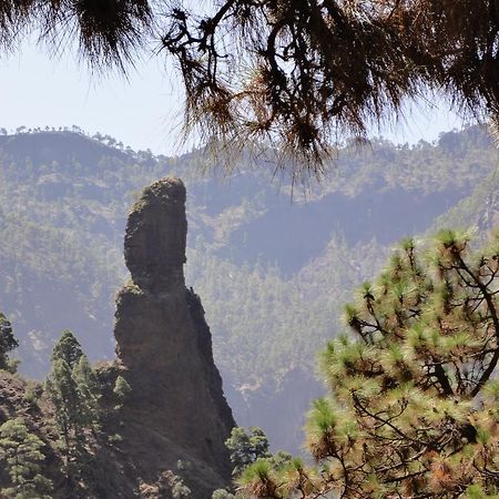 فيلا Casa Bellavista Puntagorda المظهر الخارجي الصورة